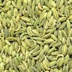 fennal seeds (saunf) 100gram.